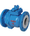 PTFE Lined Valve